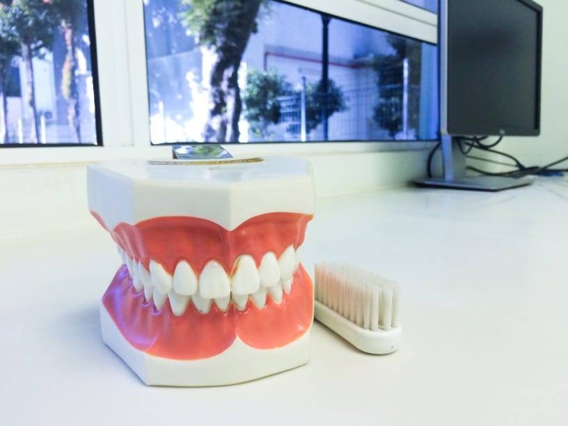 dentist-teeth-dentistry-oral-hygiene-tooth-model_t20_x241X2